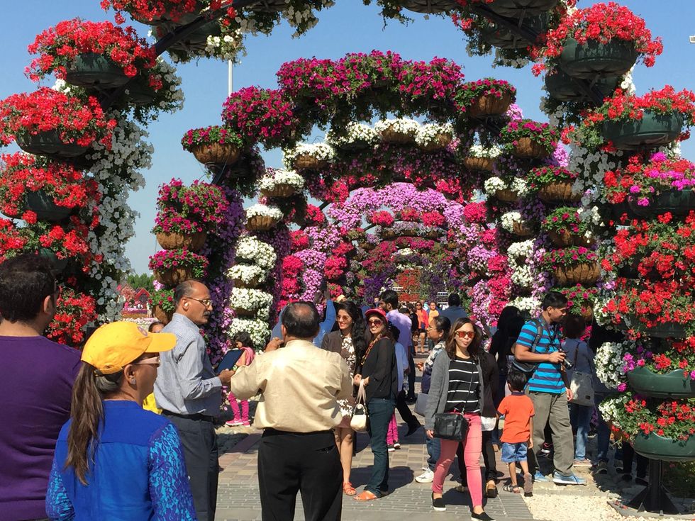 News, Shelby, Dubai Miracle Garden, January 2015