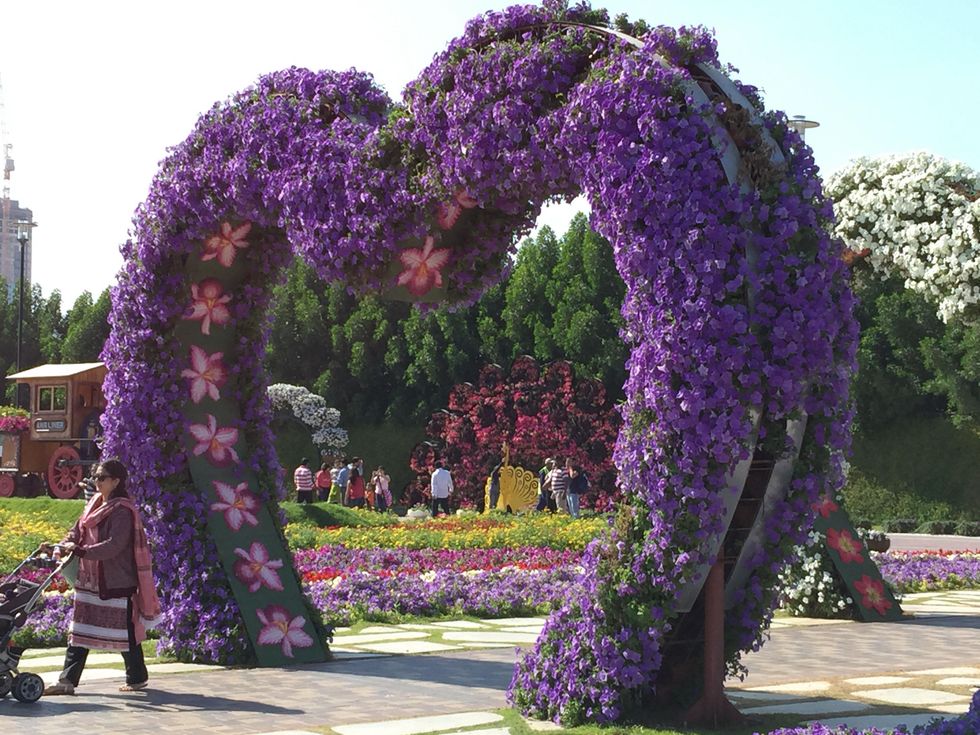 News, Shelby, Dubai Miracle Garden, January 2015
