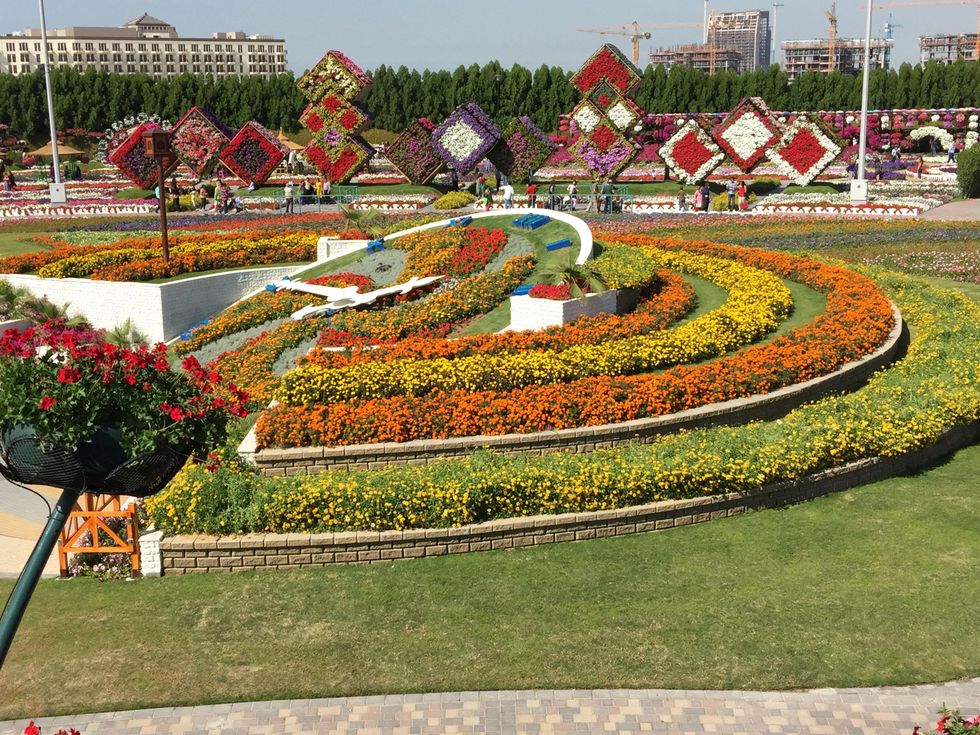 News, Shelby, Dubai Miracle Garden, January 2015
