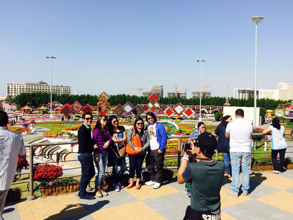 News, Shelby, Dubai, Miracle Garden, January 2015