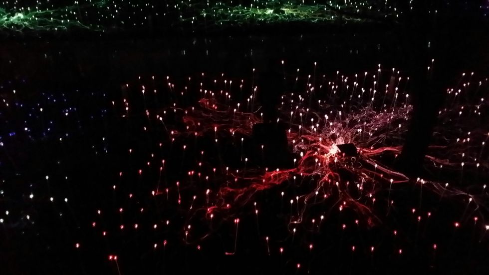 News, Shelby, Field of Light, Nov. 2014