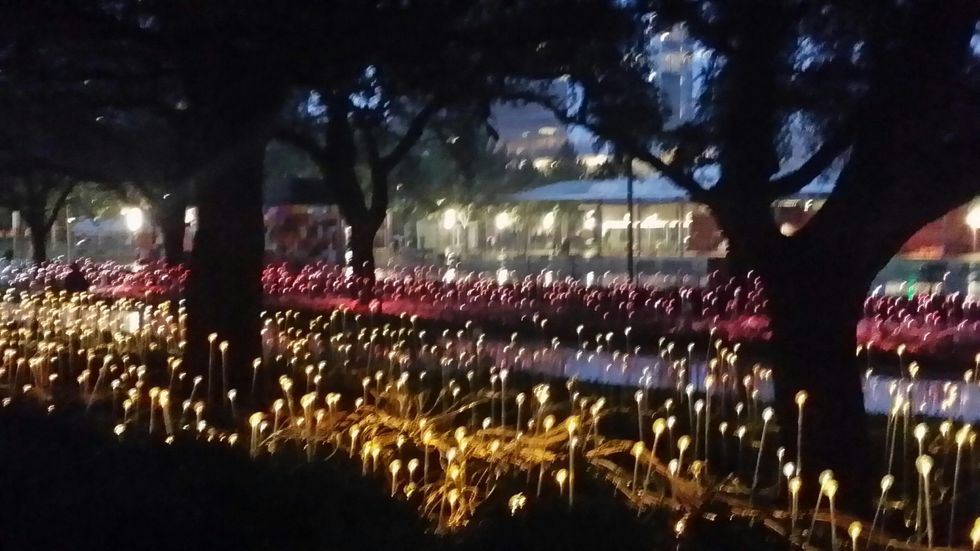 News, Shelby, Field of Light, Nov. 2014