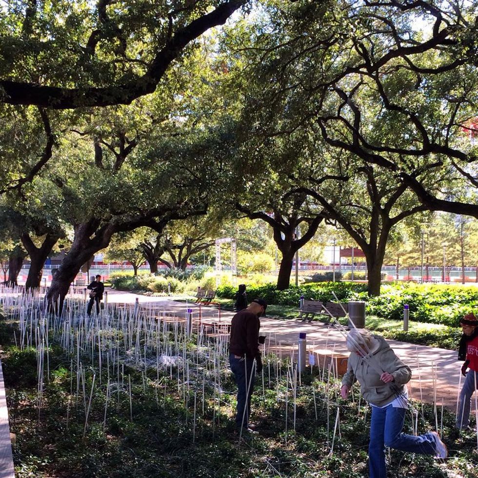 News, Shelby, Field of Light, Nov. 2014