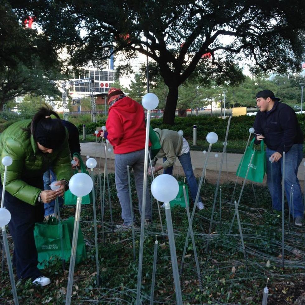 News, Shelby, Field of Light, Nov. 2014