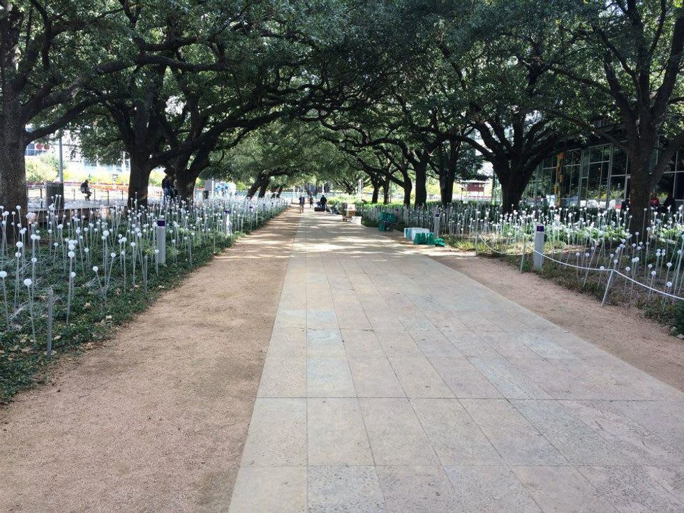 News, Shelby, Field of Light, Nov. 2014