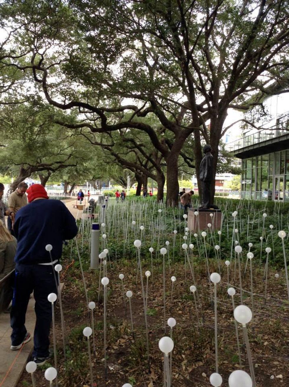 News, Shelby, Field of Light, Nov. 2014