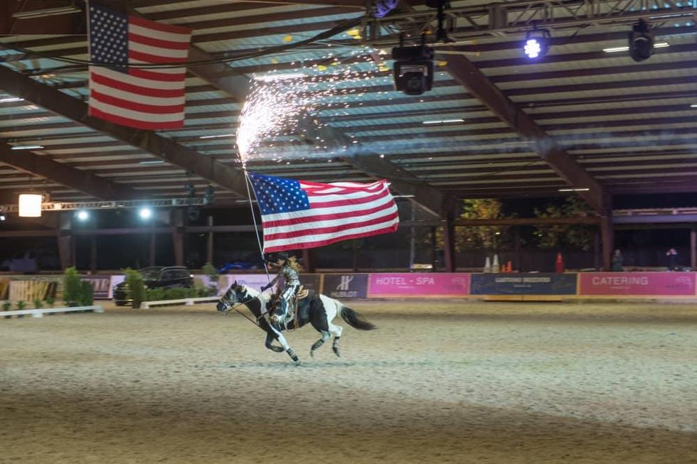 News, Shelby, Haras Cup, Nov. 2015, horse