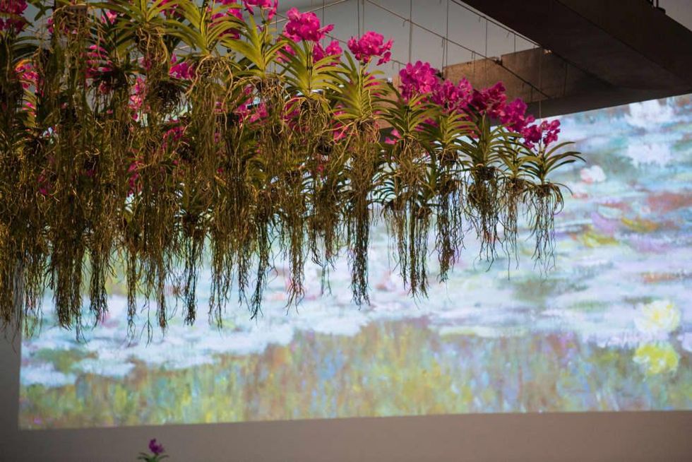 News, Shelby, Margaret Williams 80th birthday, Sept. 2015