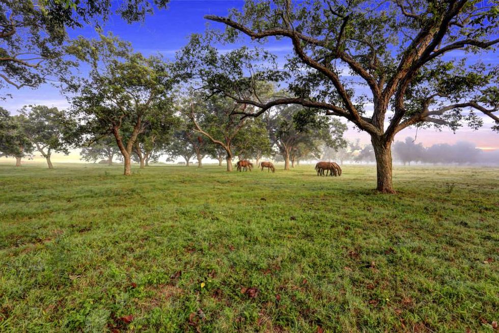 News, Shelby, On the Market, Pecan Acres ranch, August 2015