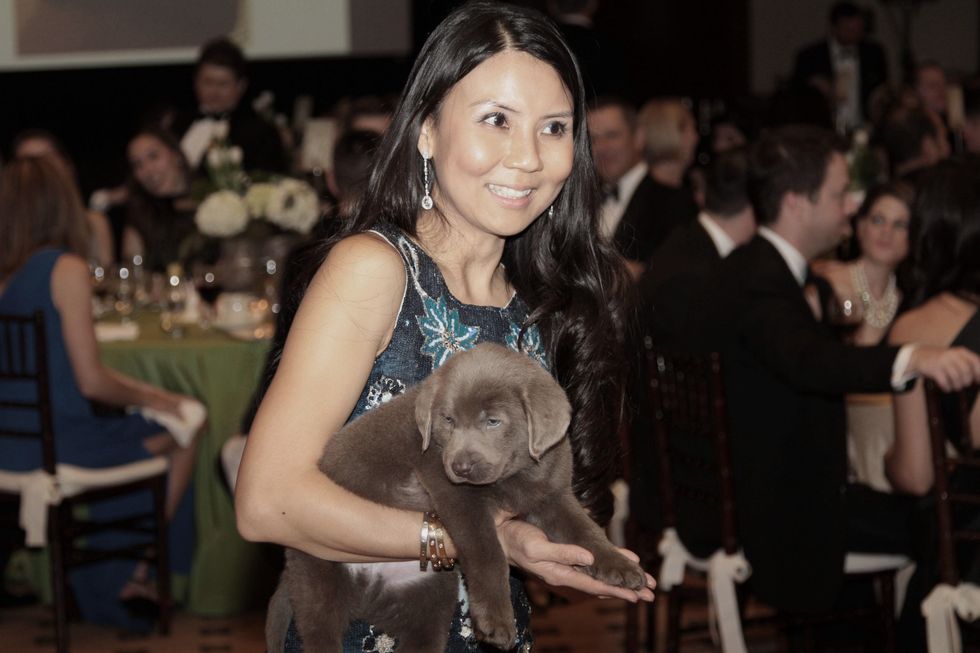 News, Shelby, Park Lover's Ball, Feb. 2015, JC Al-Uqdah and Silver Labrador Retriever