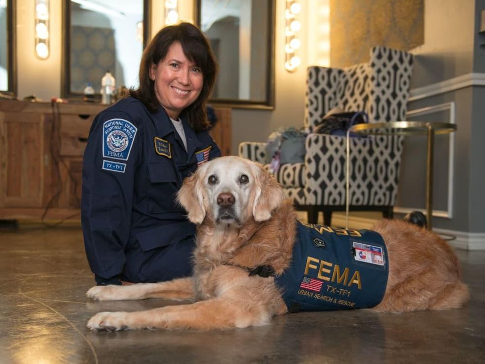 News, Shelby, Pet Set Gala, Sept. 2015, Bretagne, Denise Corliss