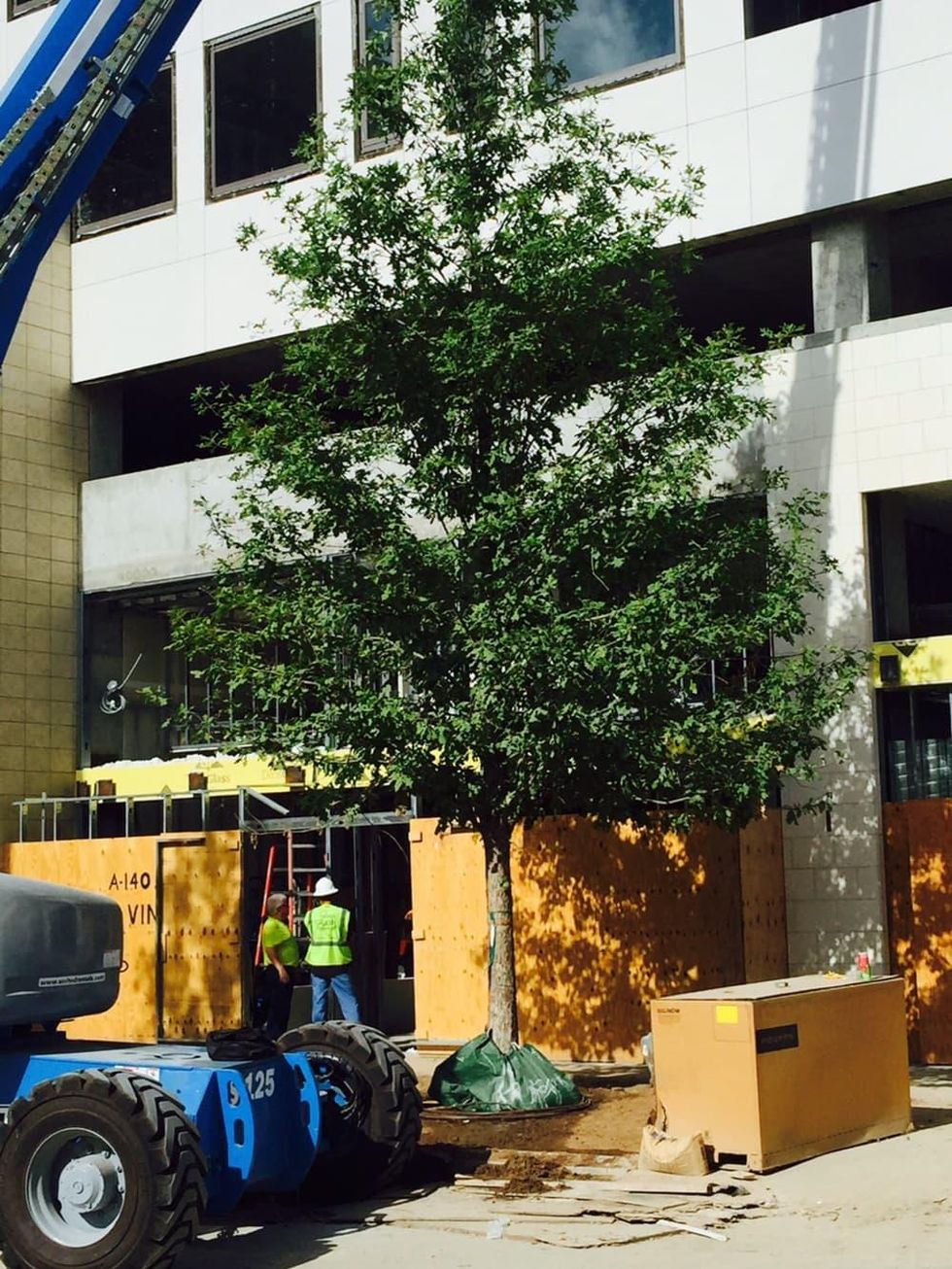 6 million landscape plan with 300 trees transforms urban shopping area