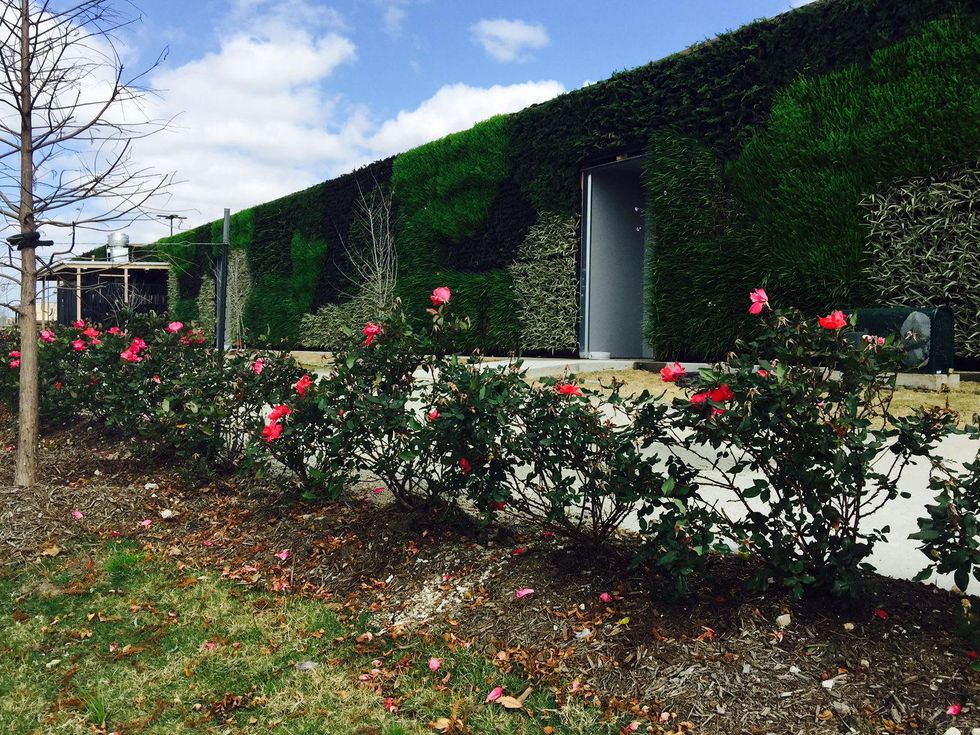 News, Shelby, Tanglewood H-E-B, Feb. 2015,