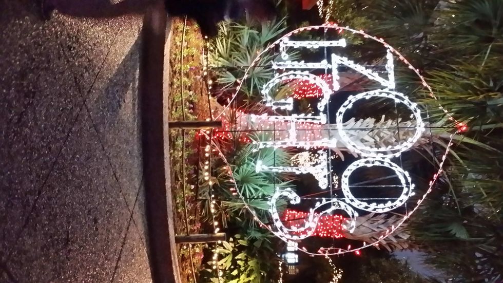 News, Shelby, Zoo Lights, Dec. 2014