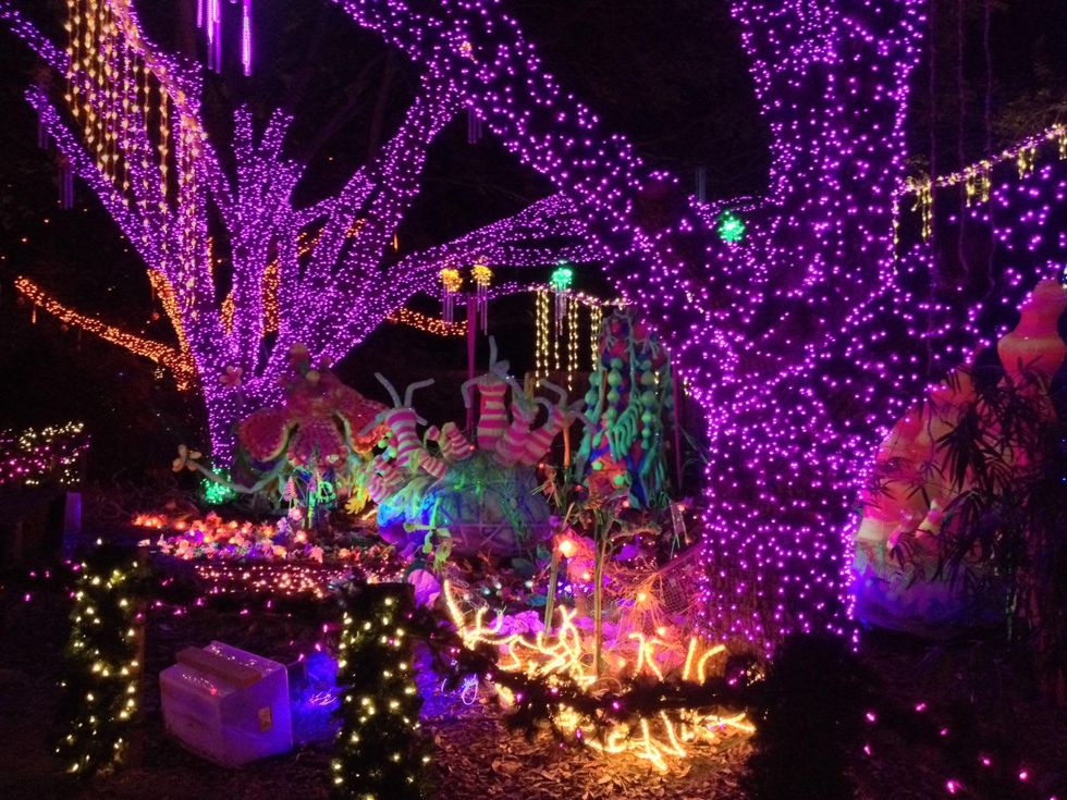 News, Shelby, Zoo Lights, Dec. 2014