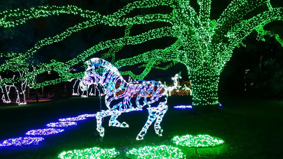 Houston's best holiday lights? It's hard to beat this winding, magical