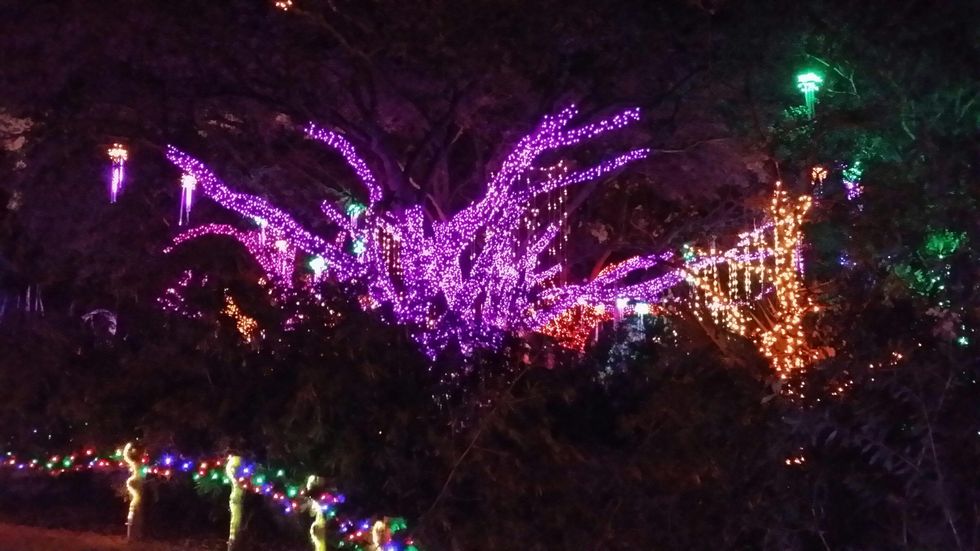 News, Shelby, Zoo Lights, Dec. 2014
