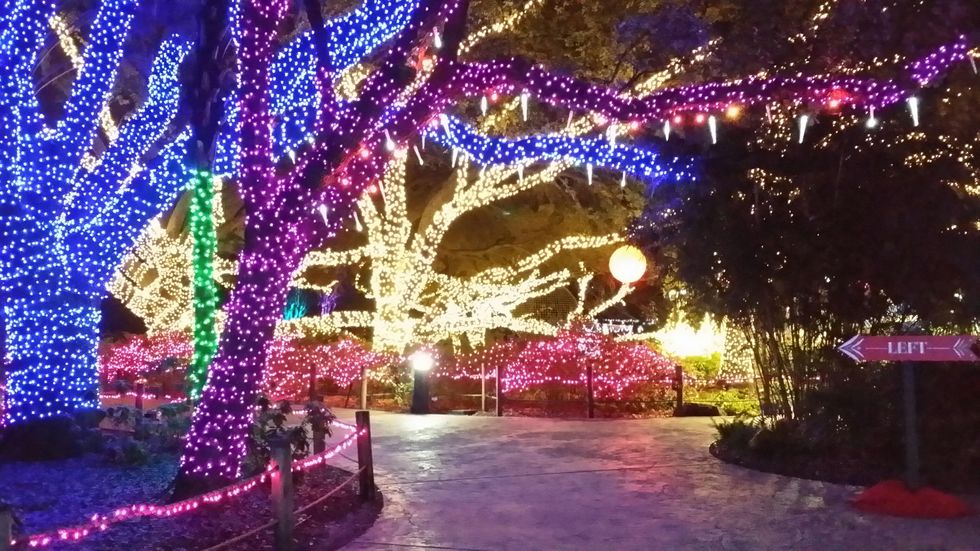 News, Shelby, Zoo Lights, Dec. 2014