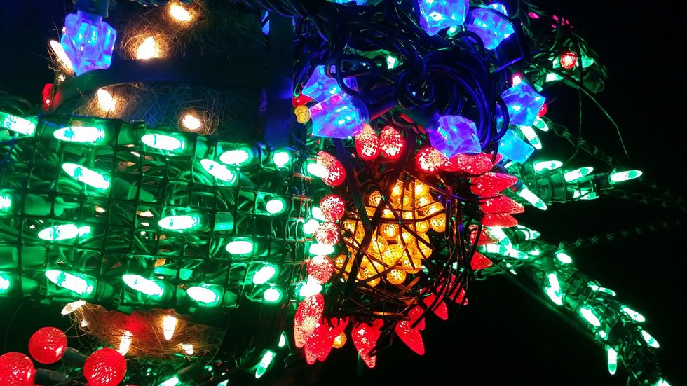 News, Shelby, Zoo Lights, Dec. 2014