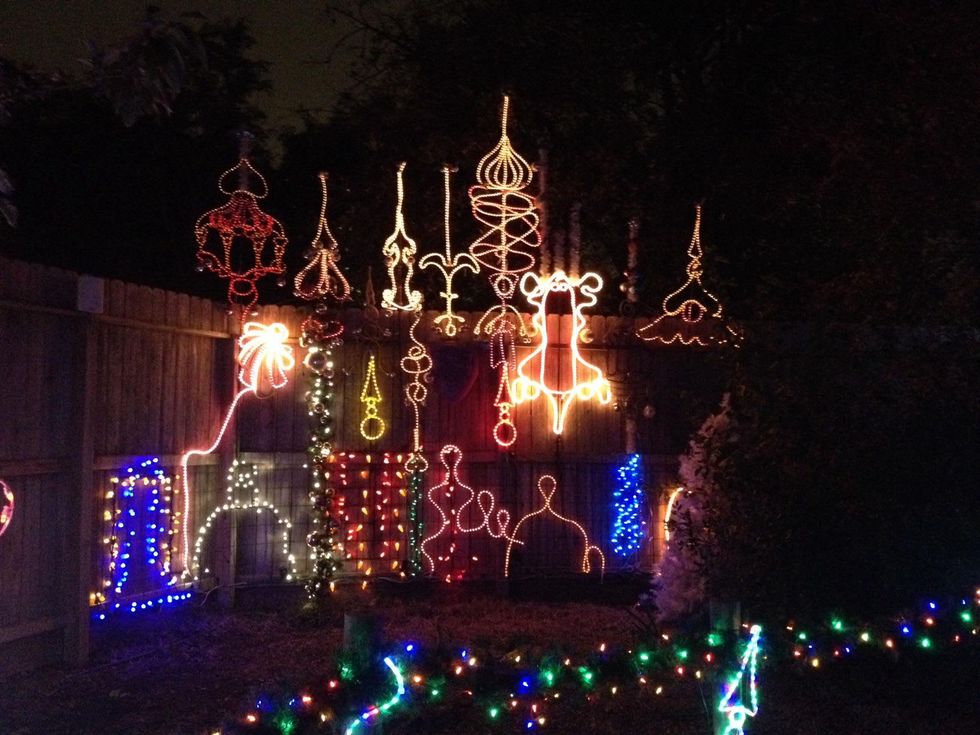 News, Shelby, Zoo Lights, December 2014
