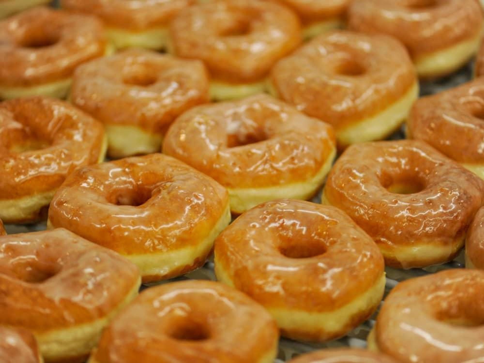 News_Shipley's Do-Nuts_doughnuts