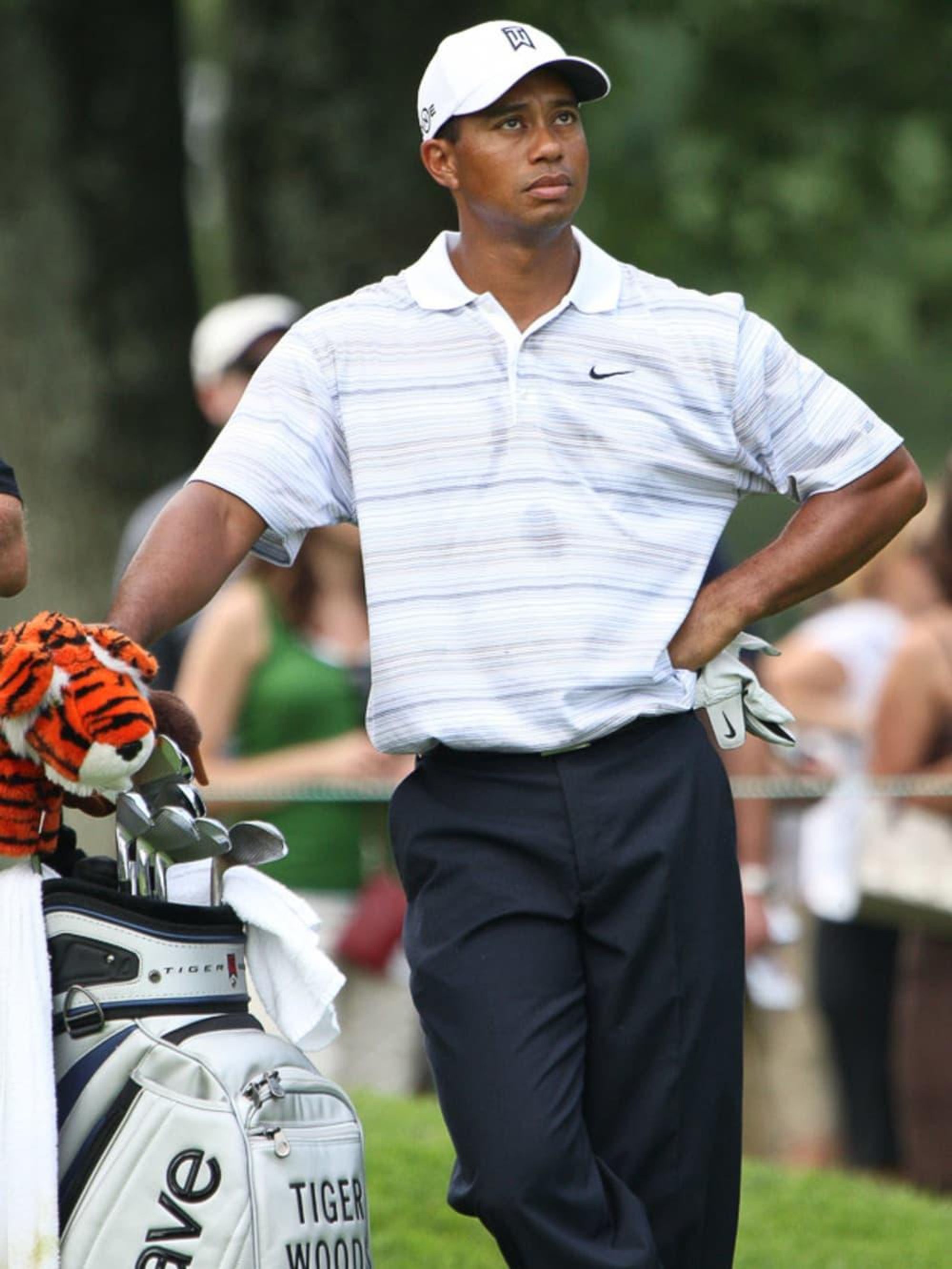 News_Tiger Woods_Feb 10