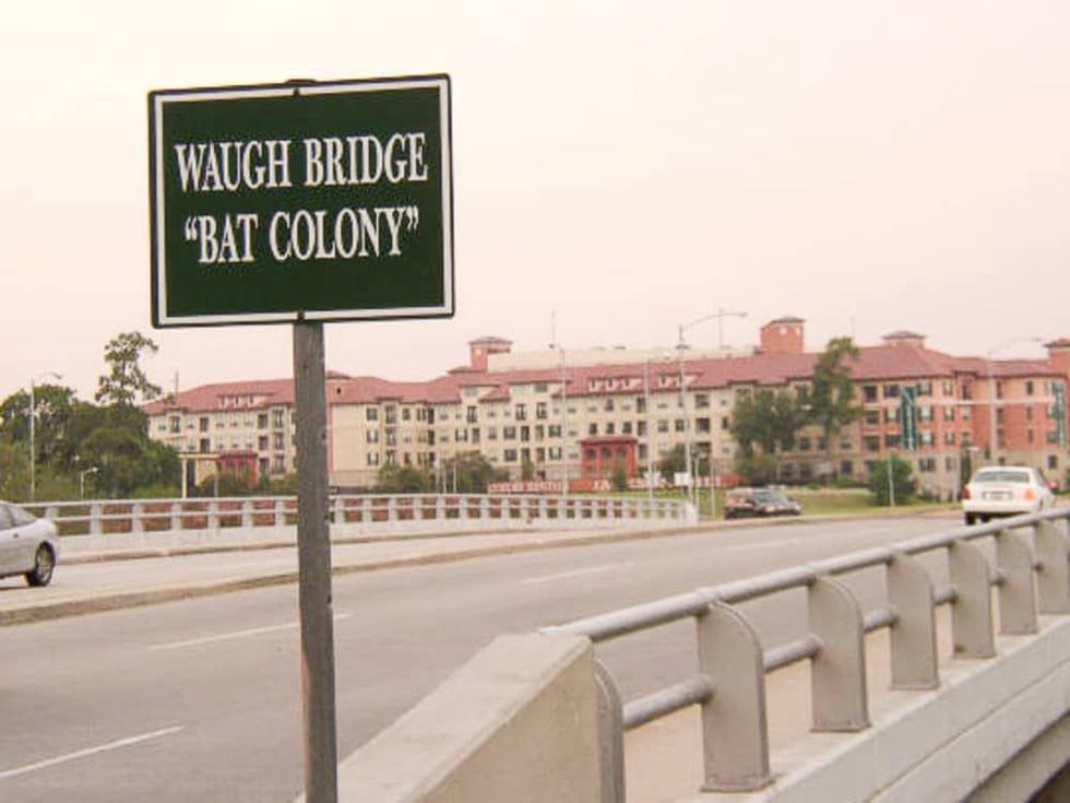 News_Waugh Bridge_Bat Colony_Sign