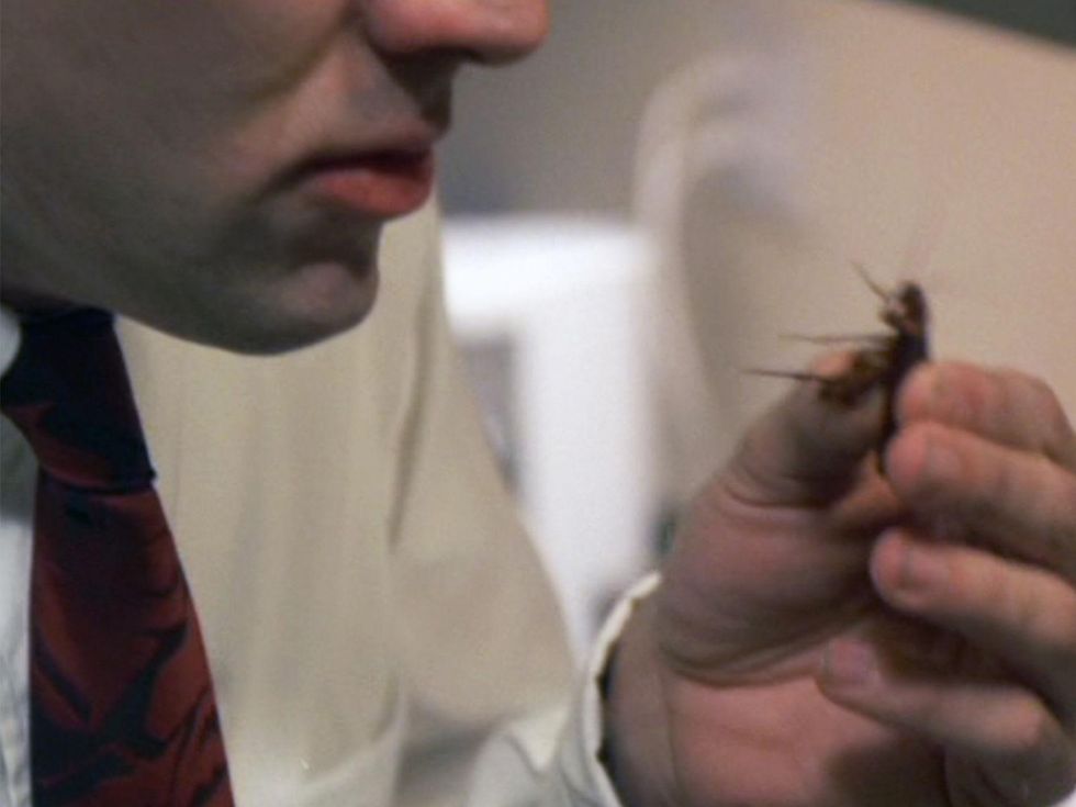 Nicholas Cage Vampire's Kiss eating a cockroach