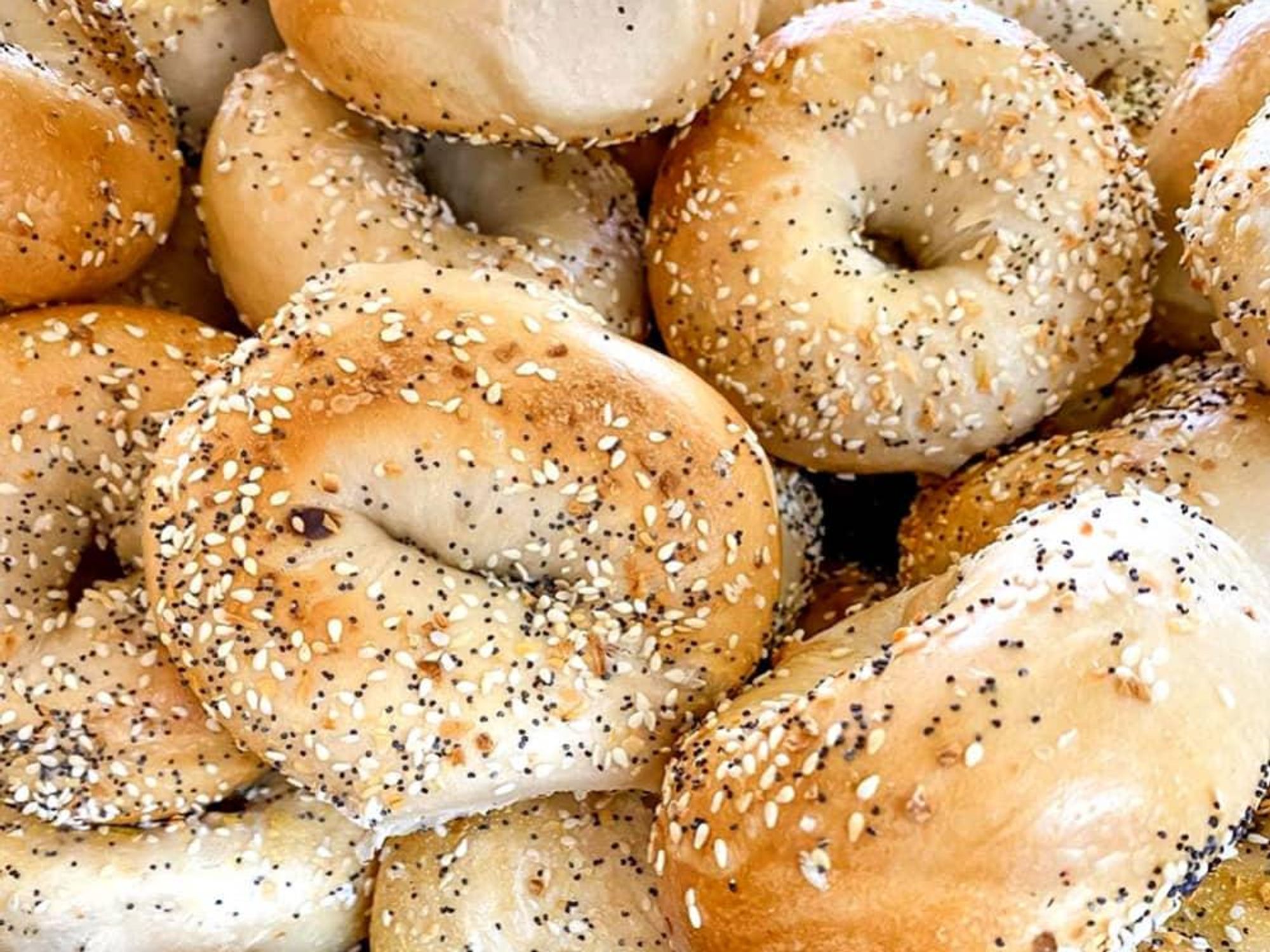 NY Deli coffee shop sesame bagels