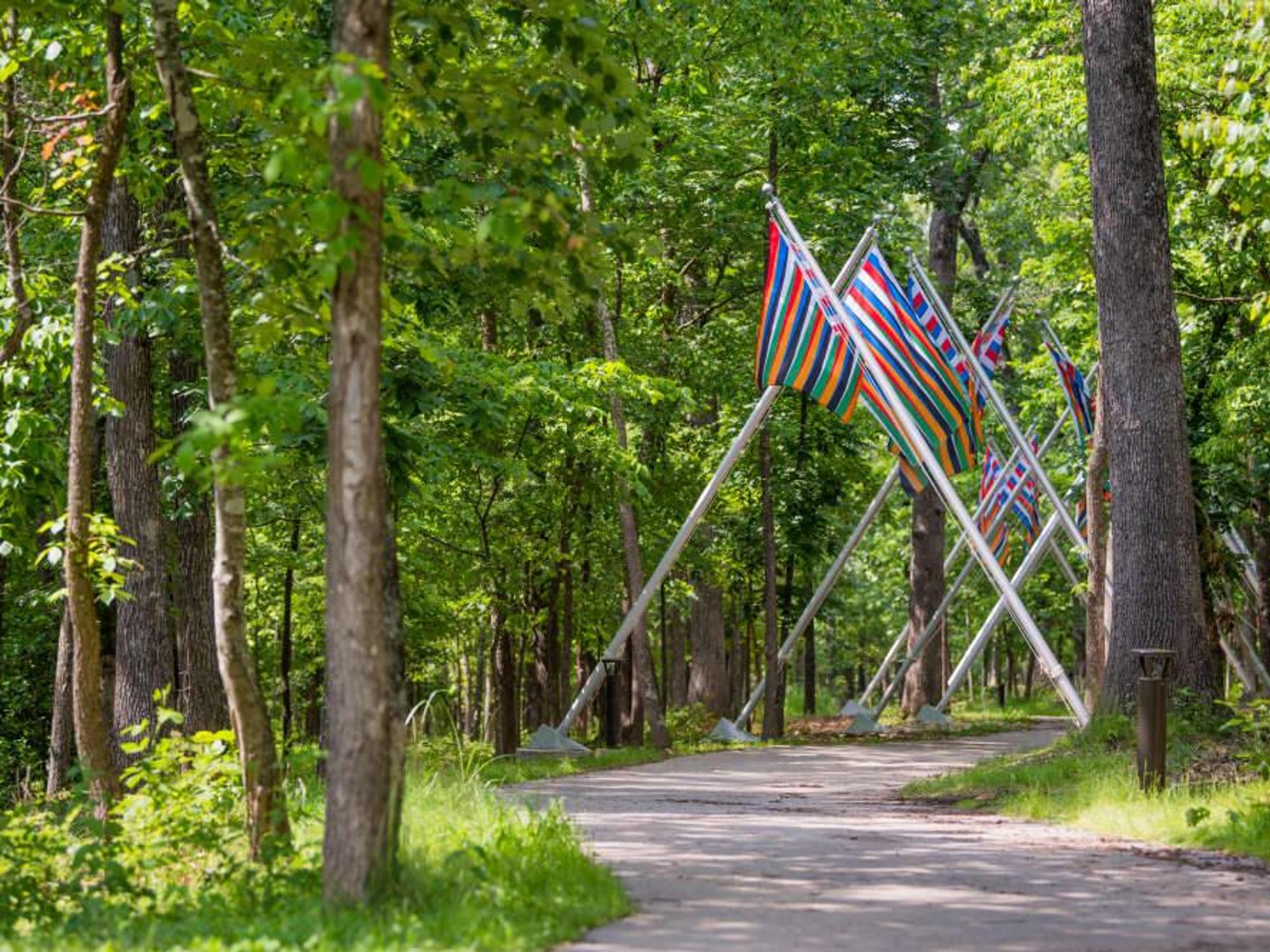 Odili Donald Odita University of Houston UH Color Field
