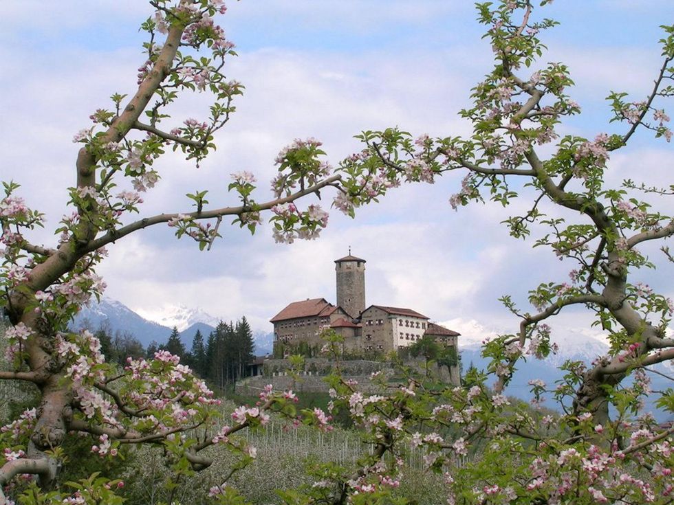 On the Market Castel Valer in northern Italy near Milan May 2014 through trees