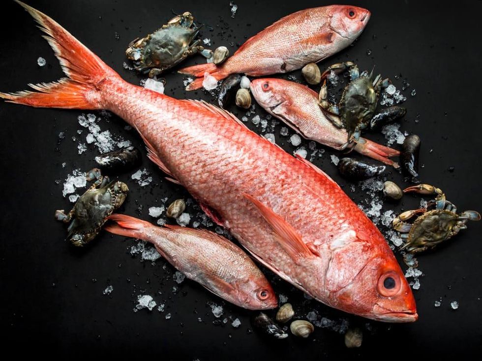 One Fifth Chris Shepherd whole fish