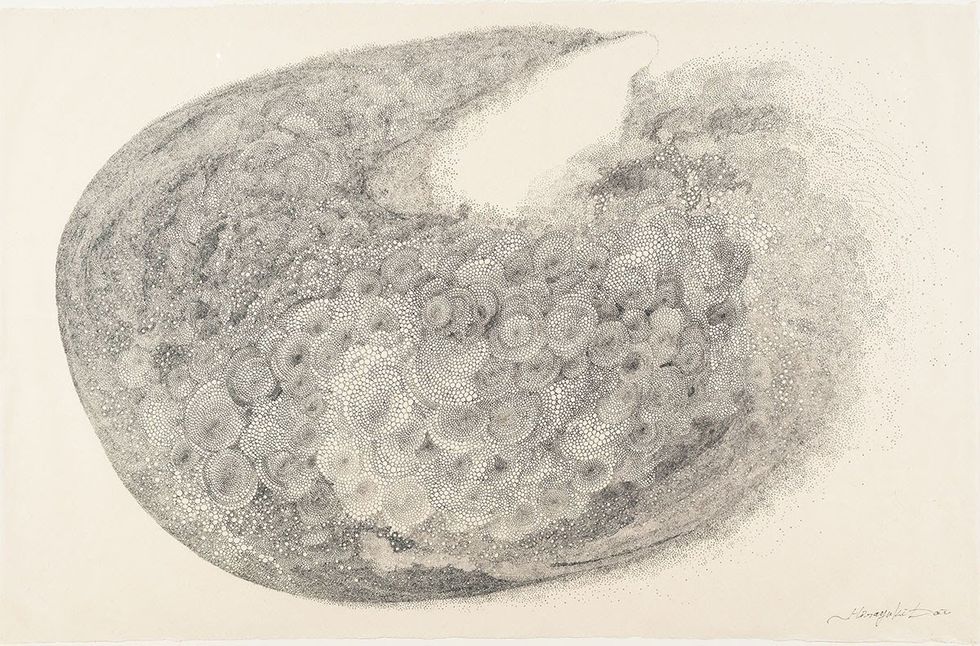 "Out of Thin Air: Emerging Forms" opening day