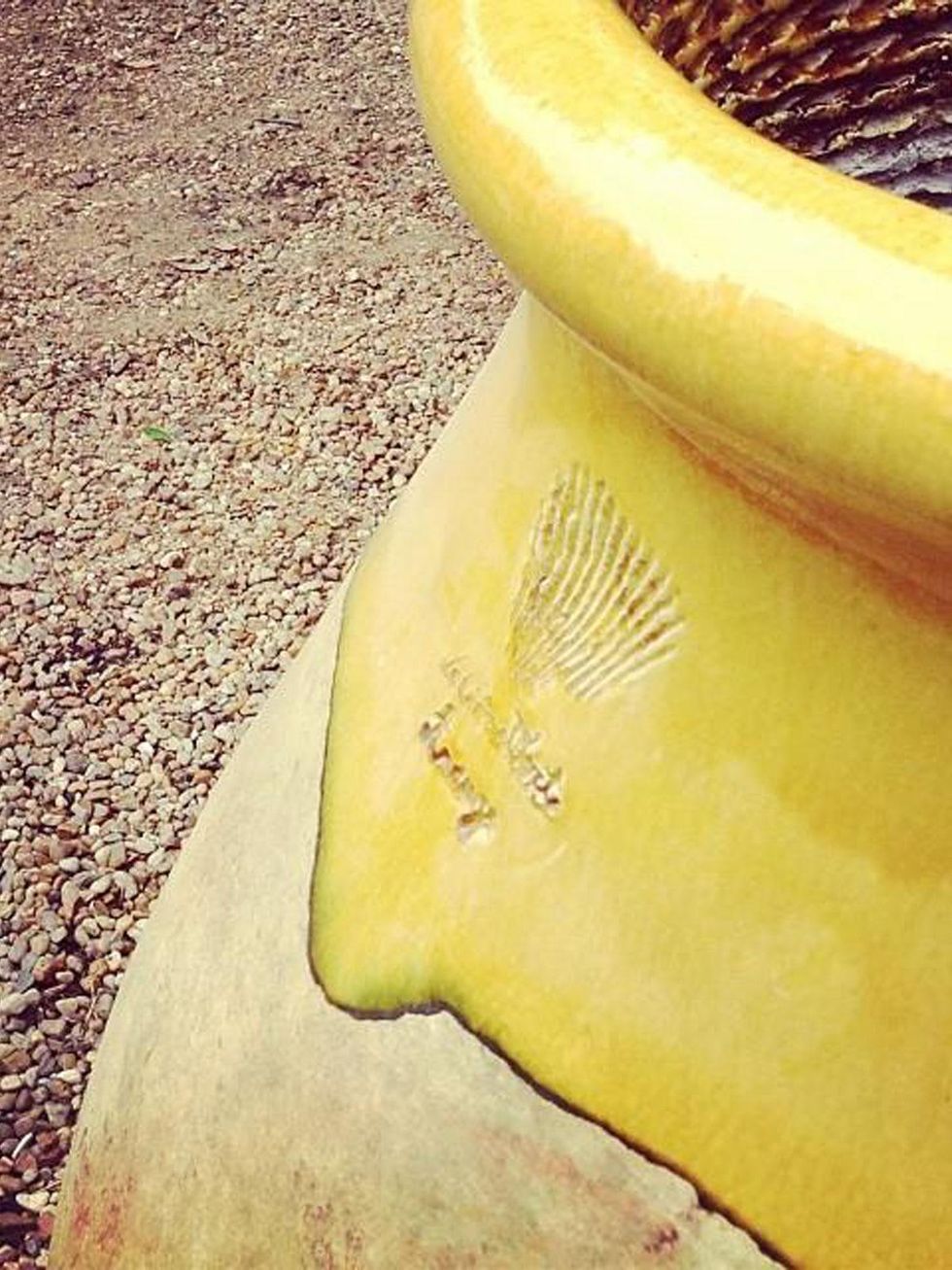 Houston's Best Outdoor Furniture Stores Backyard and patio pieces from