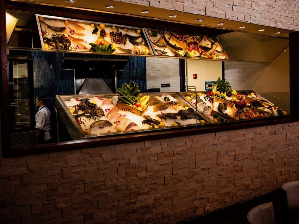 Ouzo Bay seafood display interior