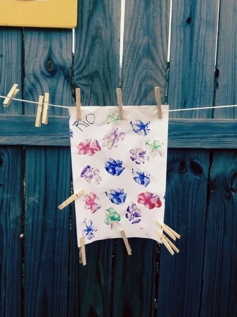 Painting with pets Emily Goetz Rio painting February 2014