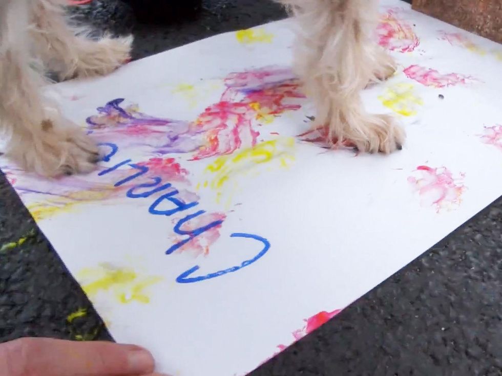 painting with your pet Charlie screen shot from YouTube