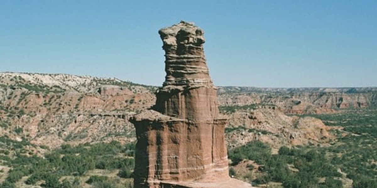 professional cheap essay editing service