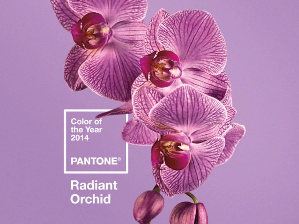 Pantone color of the year 2014 radiant orchid