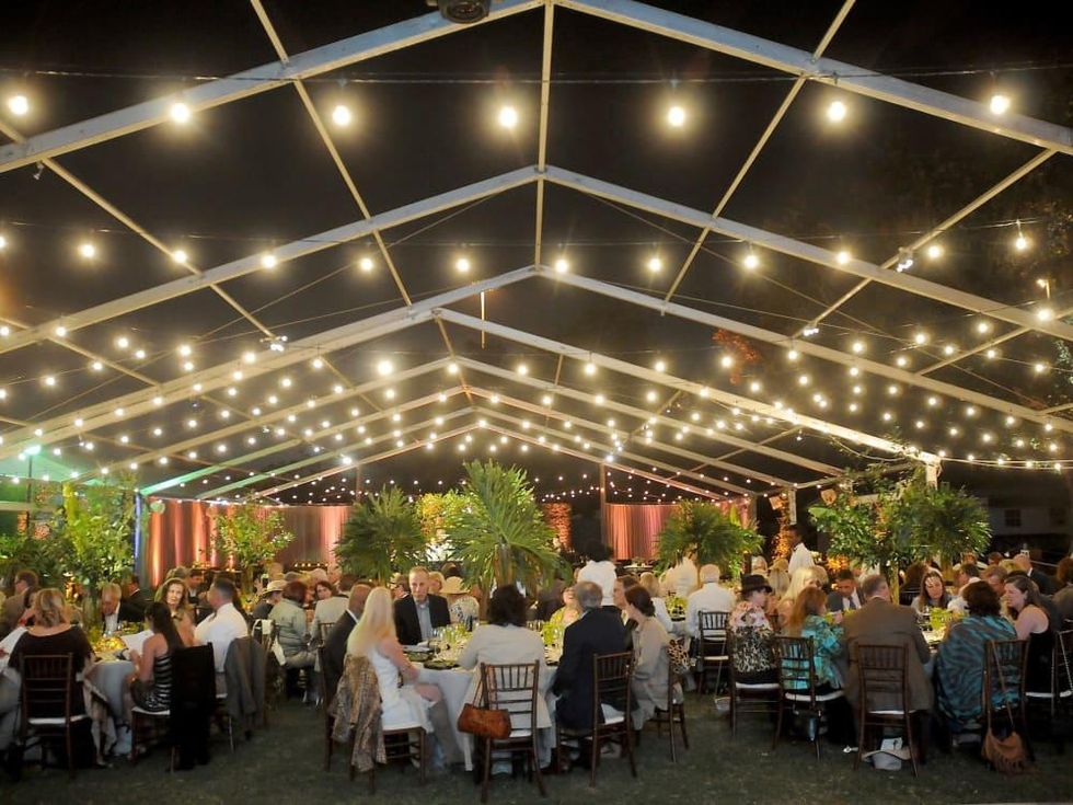 Party Under the Stars/Houston Polo Club Nature Conservancy Gala