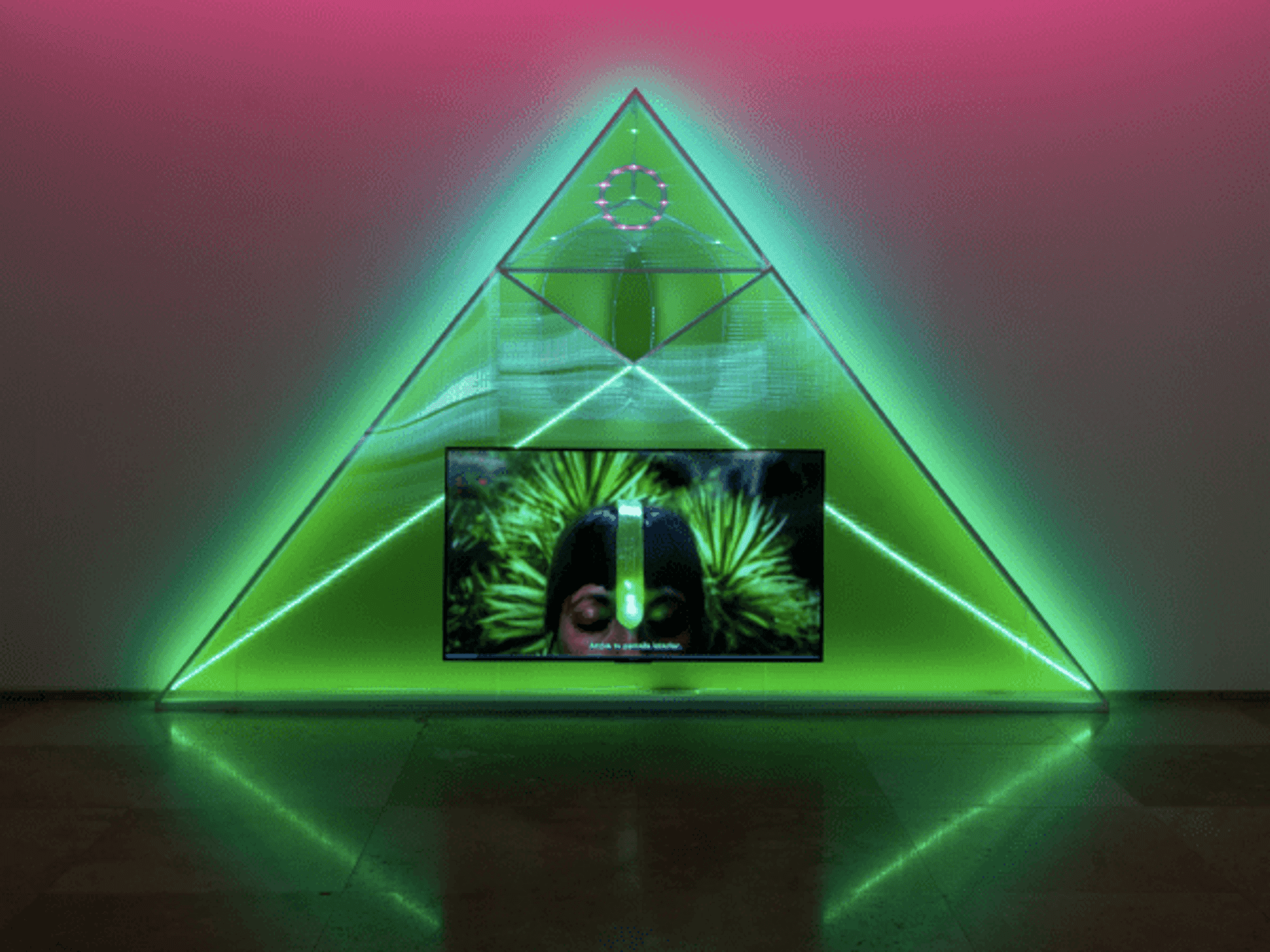 Patricia Domínguez, Matrix Vegetal, 2021-22. Video 4K, 21:12 min. Commissioned by Screen City Biennial, with the support of Cecilia Brunson Projects and Galería Patricia Ready.