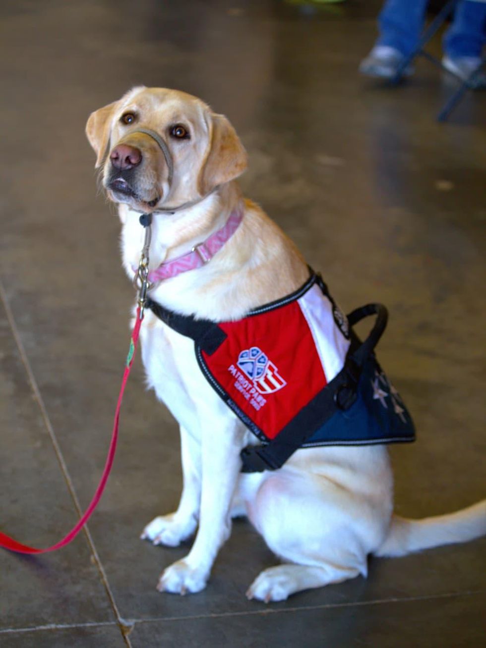 Patriot Paws in Rockport, Texas