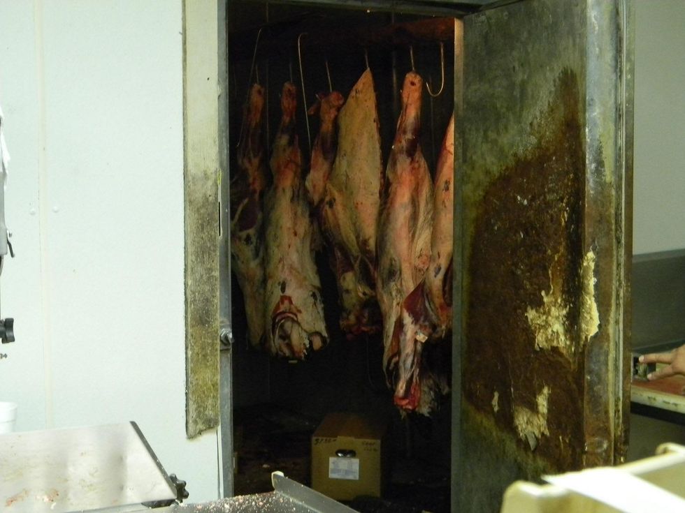 Paul Galvani meat markets August 2013 Meat hanging in the original meat locker at Burt\u2019s