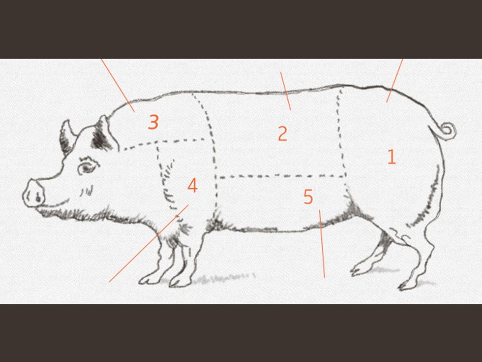 Paul Petronella chef Paul Feeds website