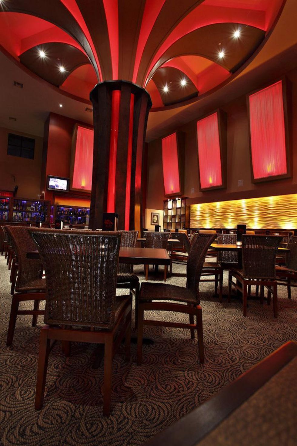 Peli Peli acacai tree