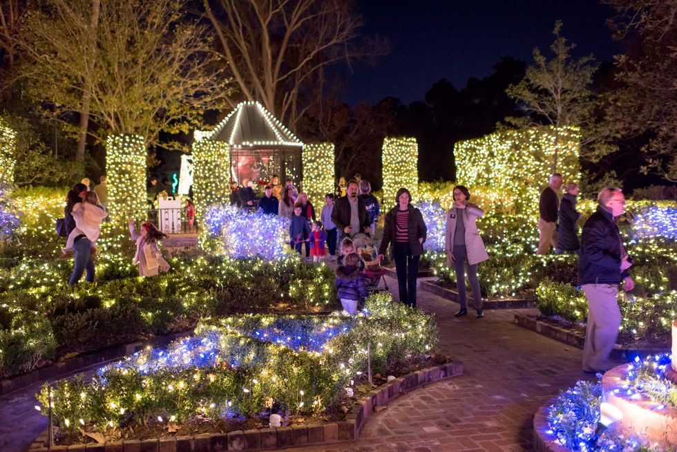 People walking through a garden at Bayou Bend with trees and plants illuminated in blue and white lights