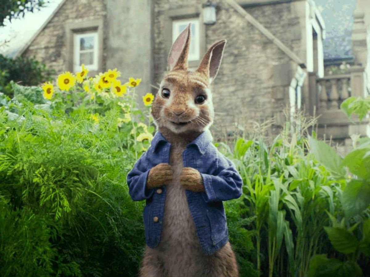 Peter Rabbit (James Corden) in Peter Rabbit. - CultureMap Houston