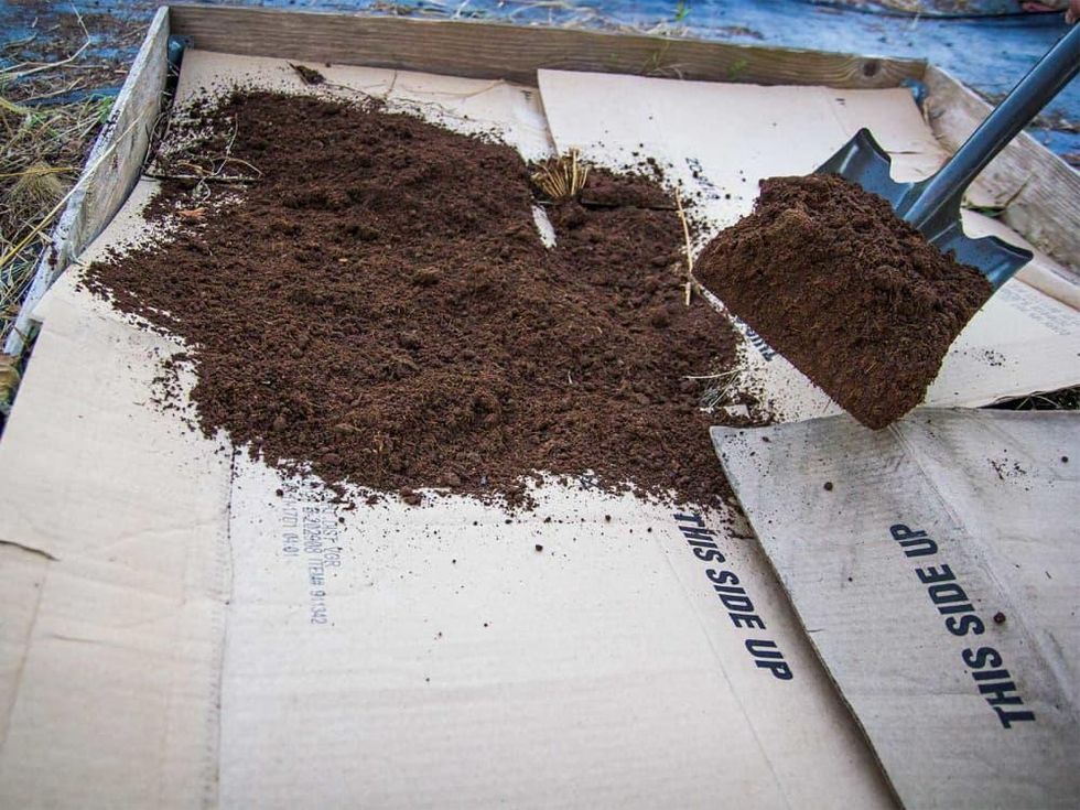 Photo of raised garden bed covered by cardboard and compost