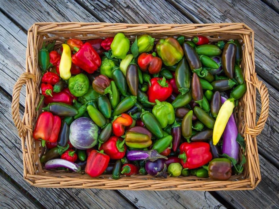 Photo of square basket with a variety of sweet and hot peppers.