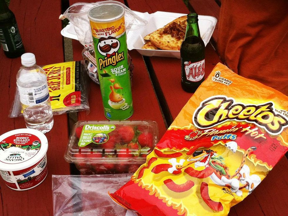 Picnic on family road trip